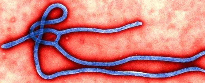 #ébola