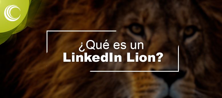 Qué es un LinkedIn Lion