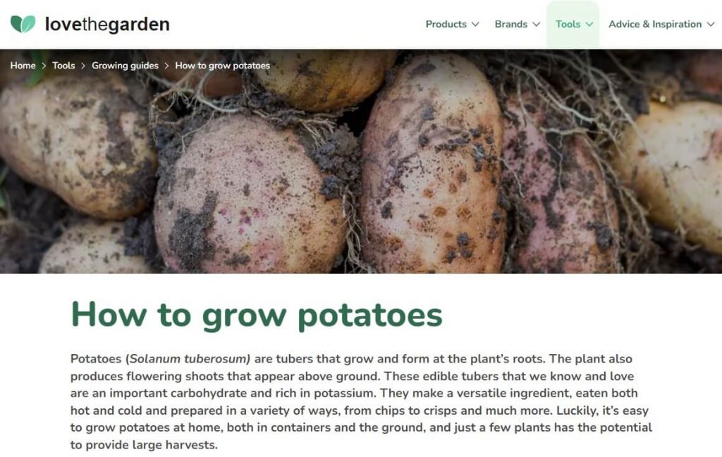 blog sur la culture des pommes de terre